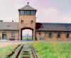 Auschwitz-ingresso.jpg (22428 byte)