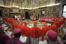 nuovi cardinali