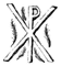 xp.gif (2975 byte)